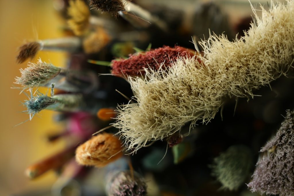 Photo Colorful Paintbrush